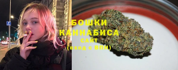 spice Бердск