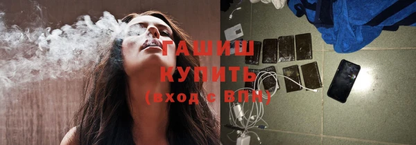 гашик Богданович
