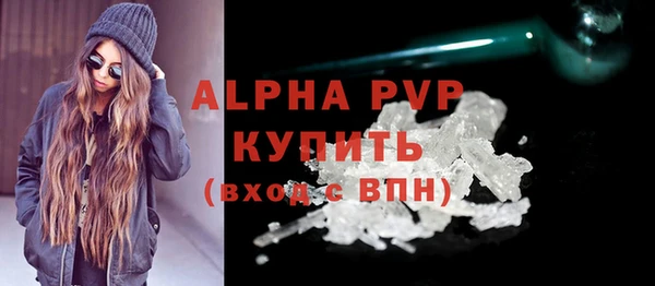 гашик Богданович