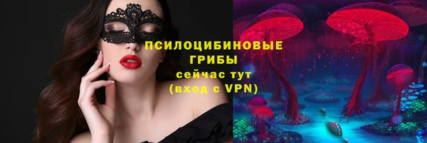МДМА Бородино